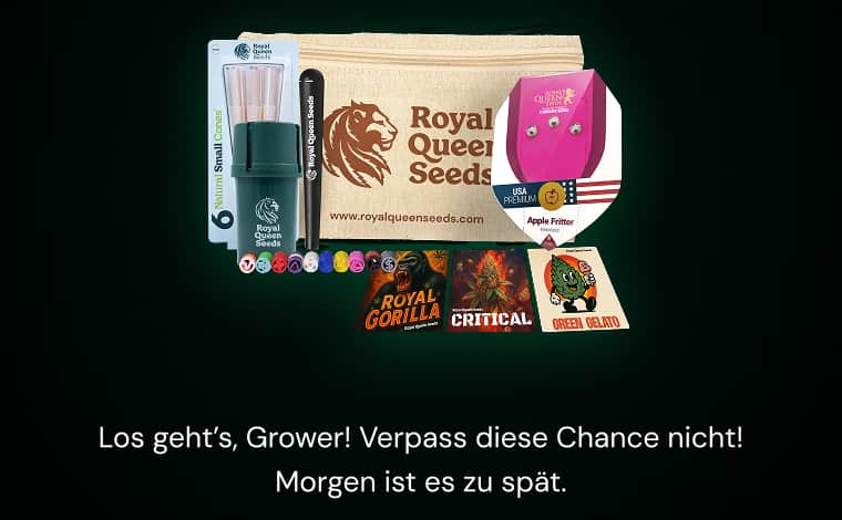 Fan Pack 24h mob 2 DE